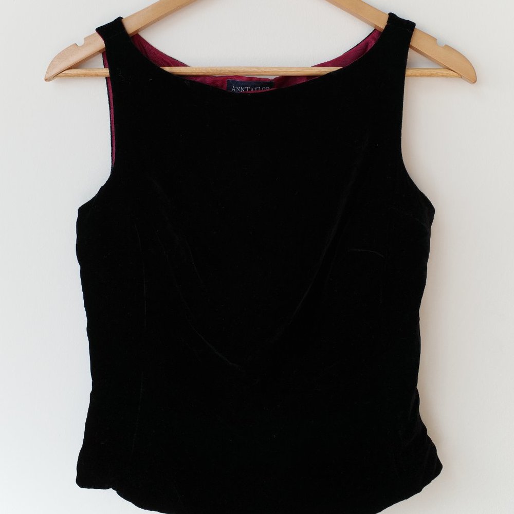 Vintage Ann Taylor Velvet Crop Top